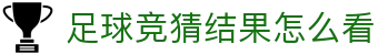 球皇社联赛数据查询|英超西甲德甲意甲法甲赛程积分与赛果